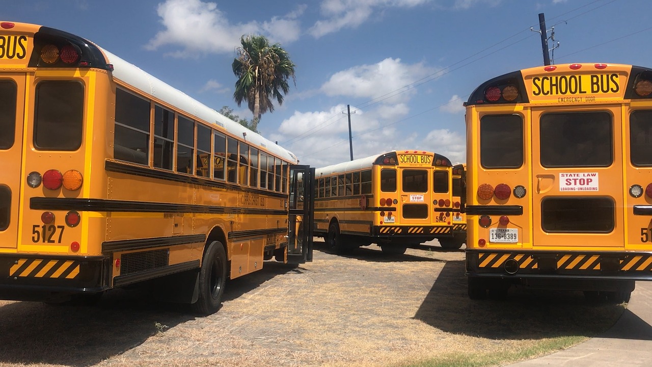 school busses lined up